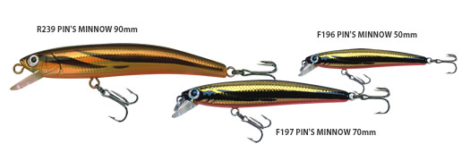 PIN`S MINNOW (F)       